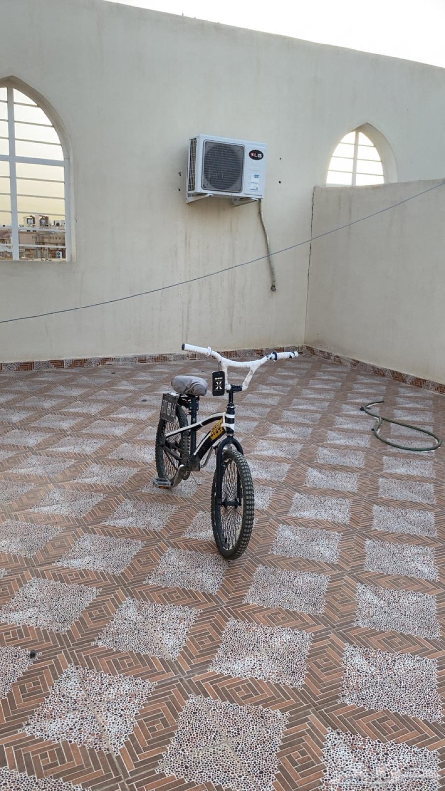 Cobra 20-inch bicycle for sale63667680689281112