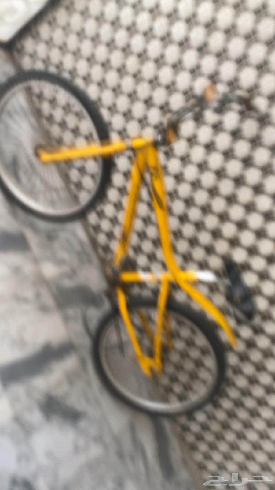 Cobra 26-inch bicycle for sale, negotiable price63667697929091110