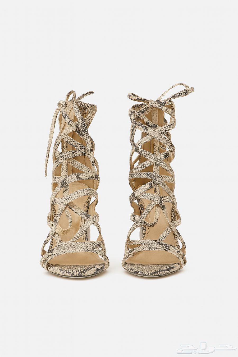 Women's heel shoe heel63667546506753110