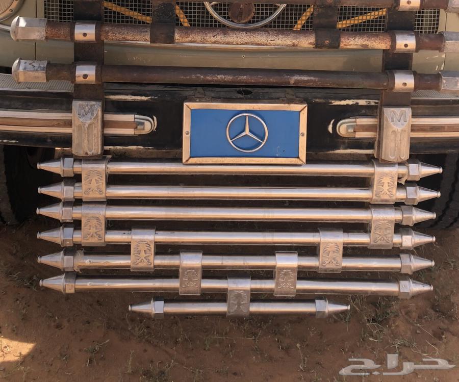 للبيع لحية بوز جديده63702225315202111