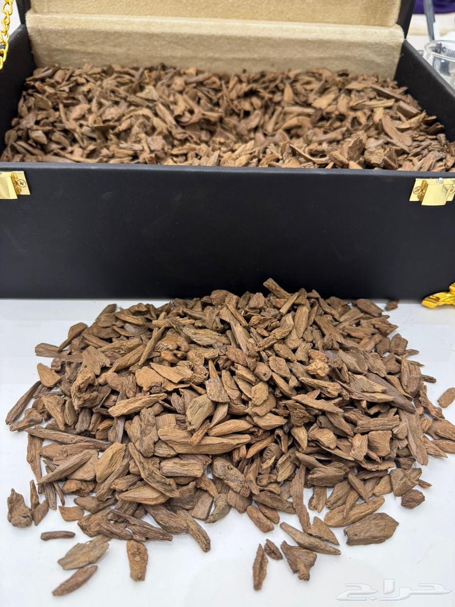 For sale Moroccan Asekon Oud - Micro Nekwa Double Super + Super63667545497218111