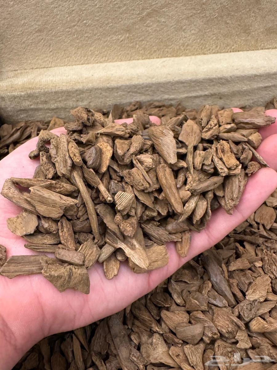 For sale Moroccan Asekon Oud - Micro Nekwa Double Super + Super63667545497218110