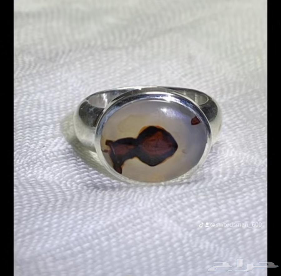 Figured Ring63667795860355113