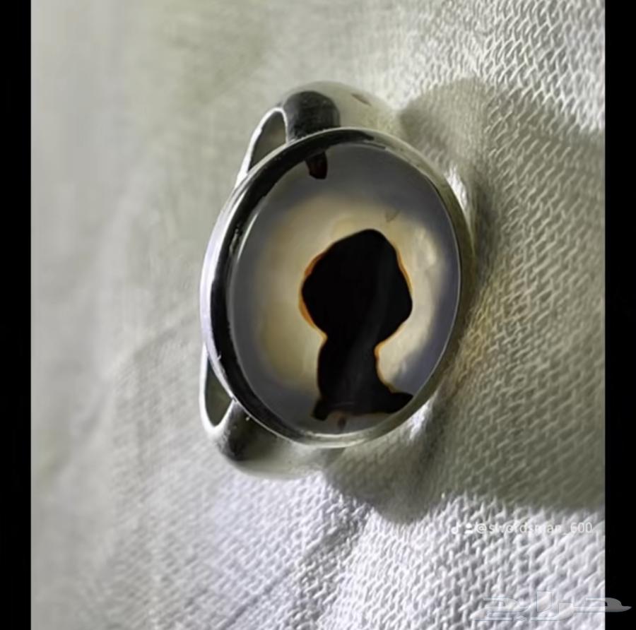 Figured Ring63667795860355111