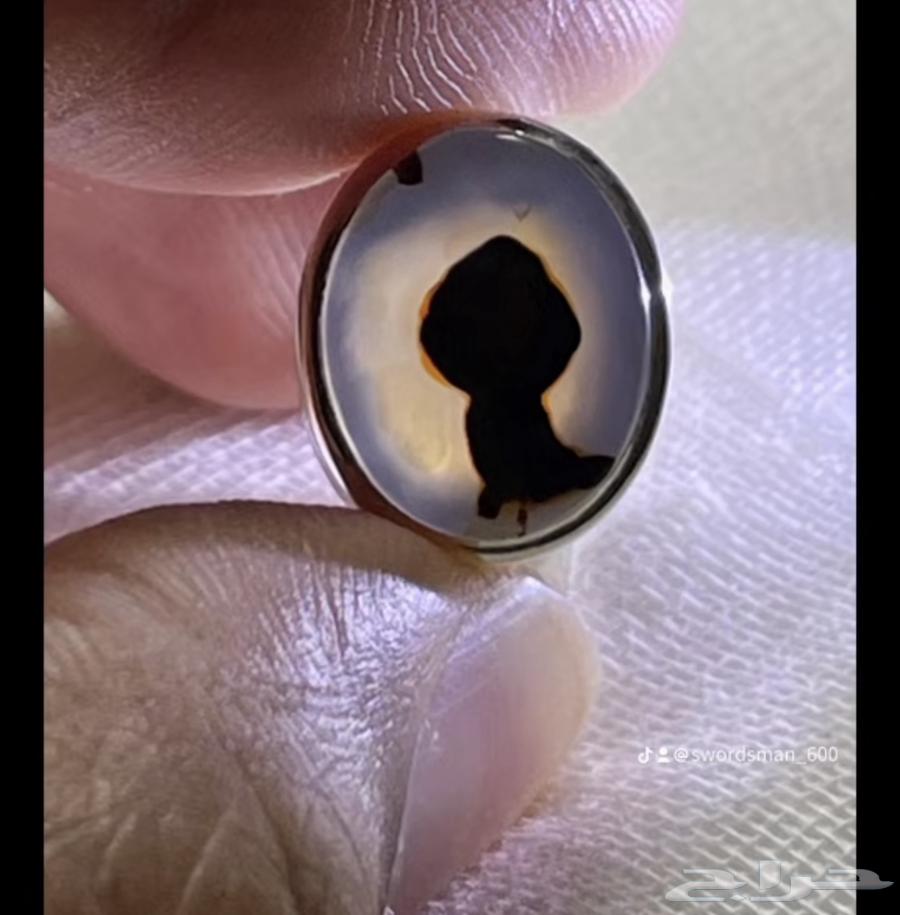 Figured Ring63667795860355110