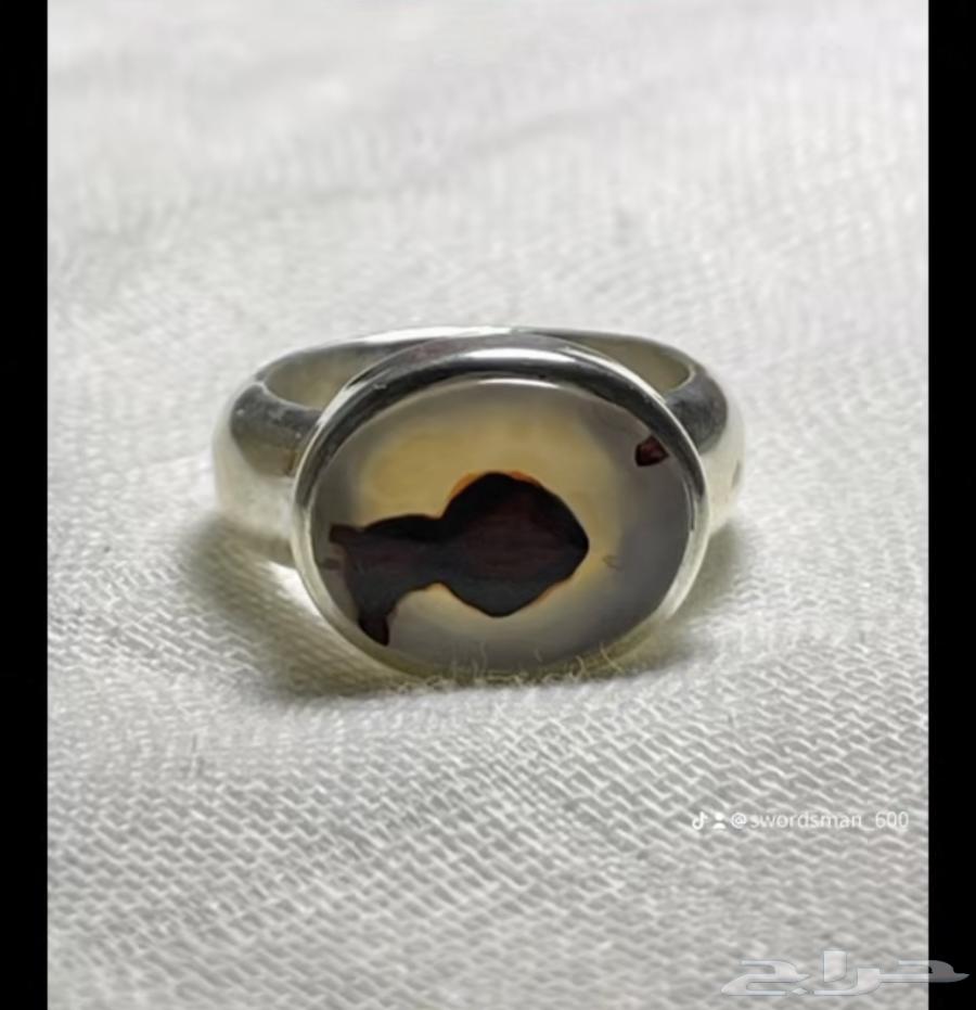 Figured Ring63667795860355112