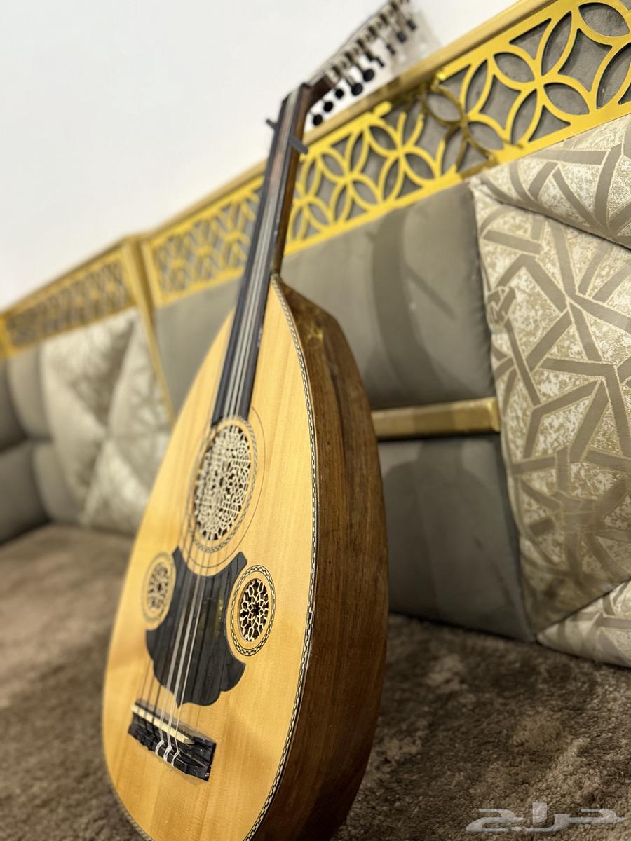 عود كهربائي63667549956865113