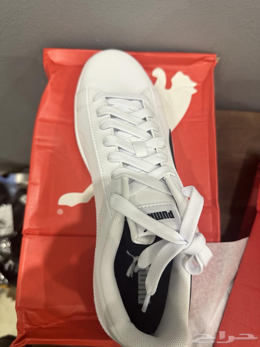 Adidas - Skechers - Puma Original63667697268995113