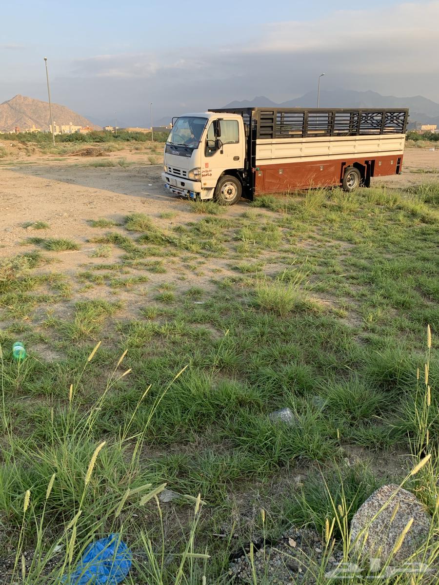 دينه للجار تحمل دخل مكه طائف جده دينه ايسوزو ست متر طويل63710656290049110