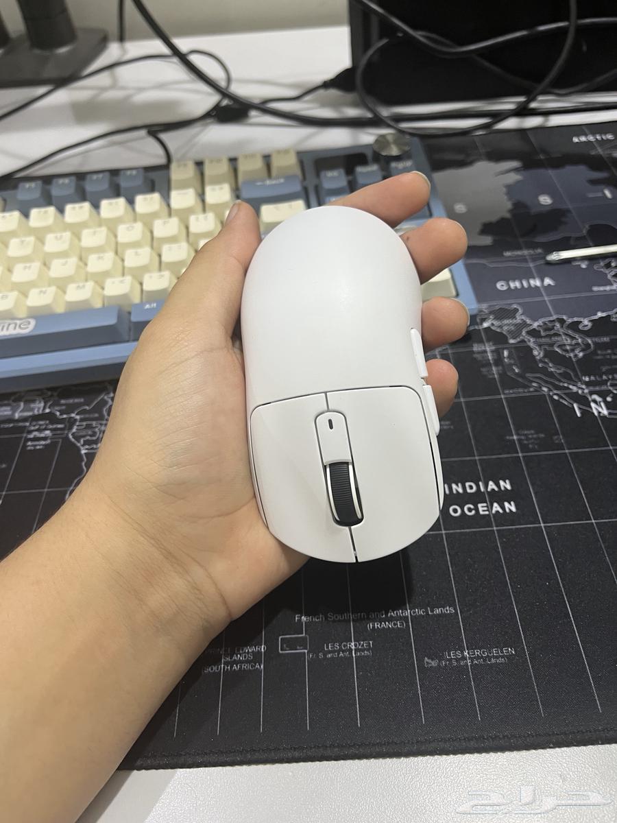 ATake Shark Mouse63667545673219112