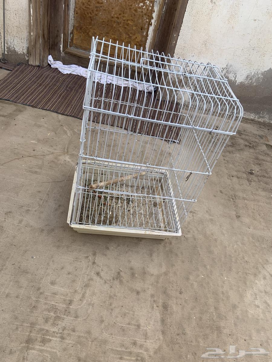 Kasco cage for sale63667543828097110