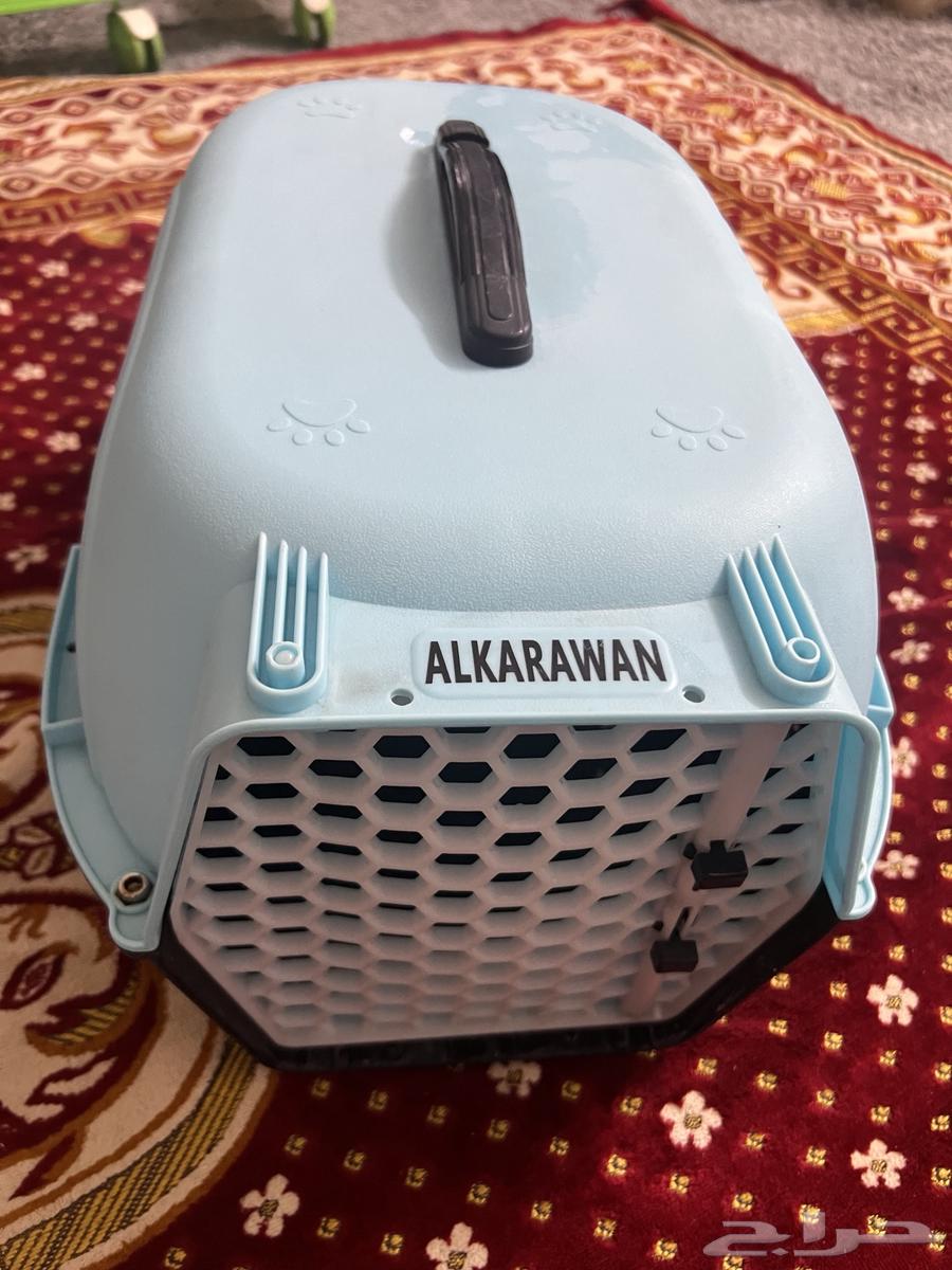 Pet animal box63667553298435111