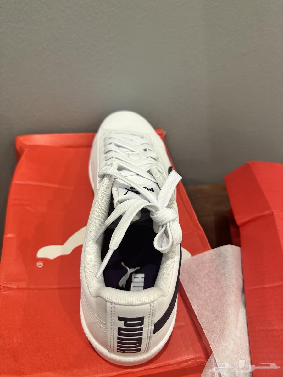 Adidas - Skechers - Puma Original63667697268995110