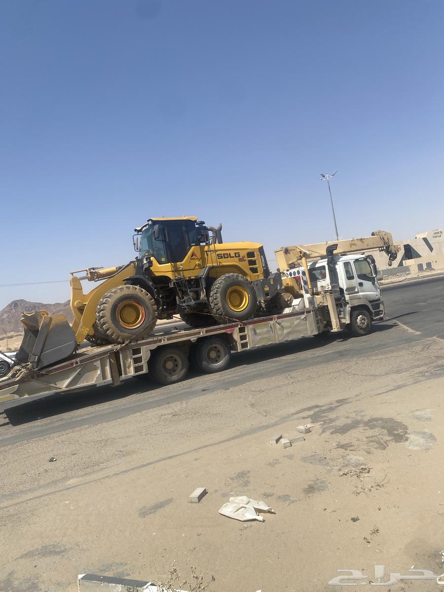 لوبد متواجد في نجران63711651078274112