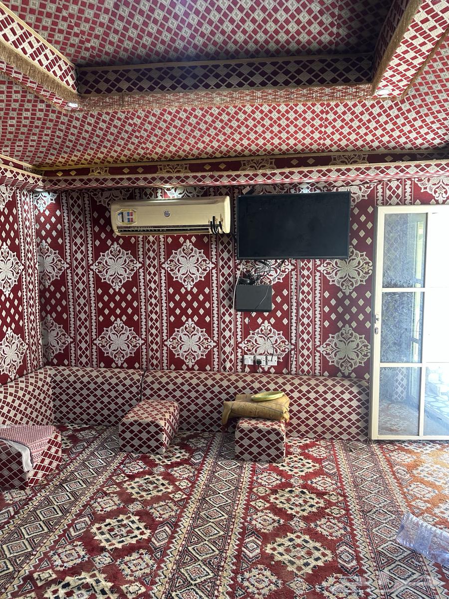 Royal Hair Tent for Sale63667681064323111