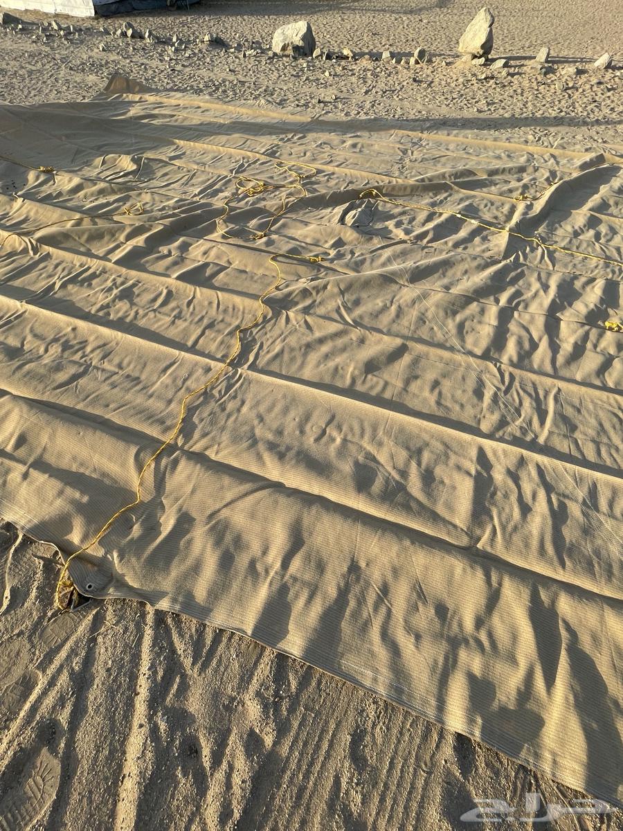 مظله حلال63667691511683110
