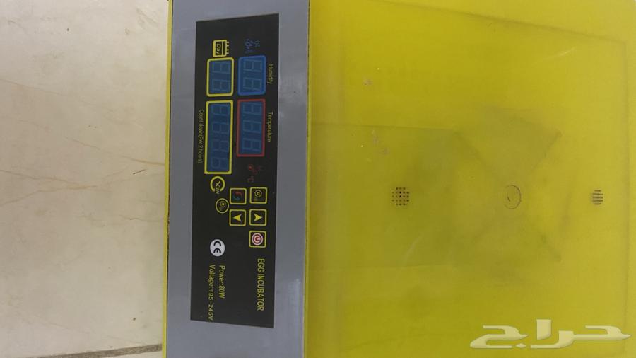 Incubator63667793474178111