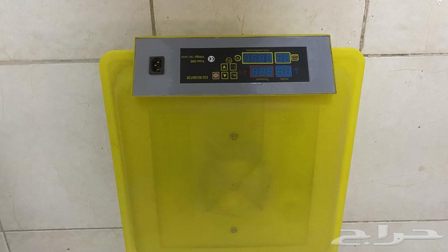 Incubator63667793474178110