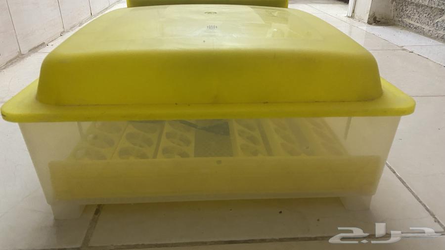 Incubator63667793474178114