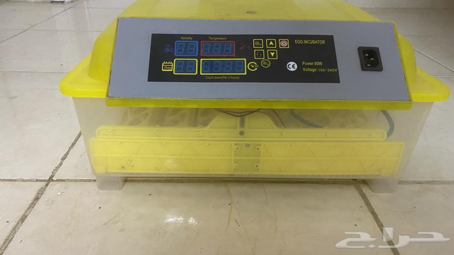 Incubator63667793474178112