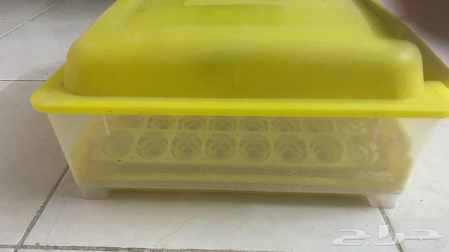 Incubator63667793474178113