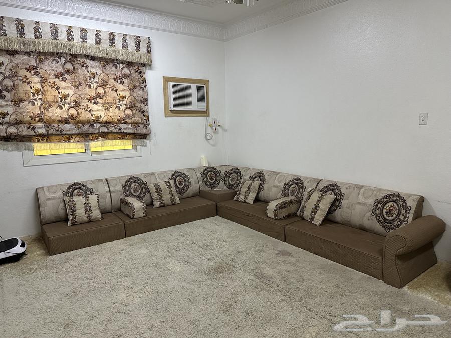 Floor sofa63667681779714111
