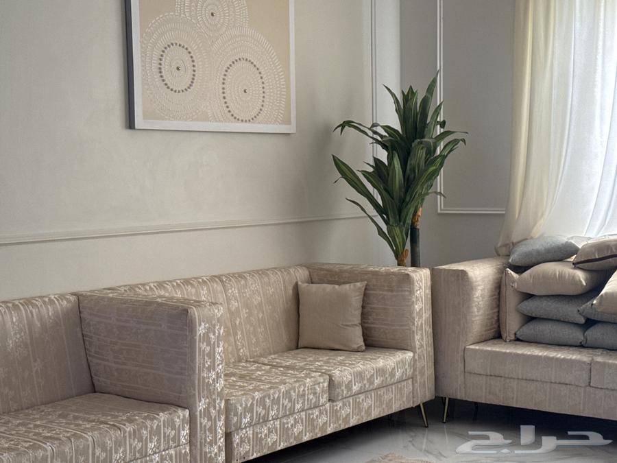 New and clean sofa63667681342850112