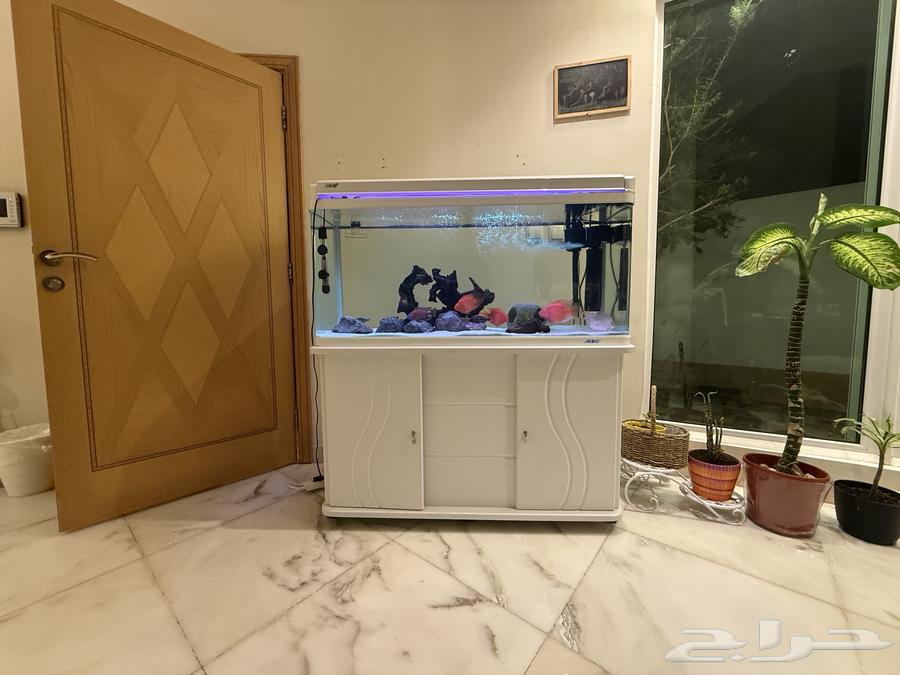 حوض سمك كبير استخدام اقل من سنه JEBO63667552793987111