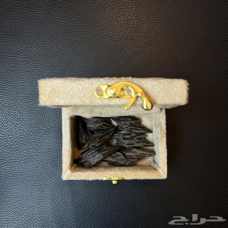عوده تايقر فيتنامي الدرجة الاولى63667679223170110