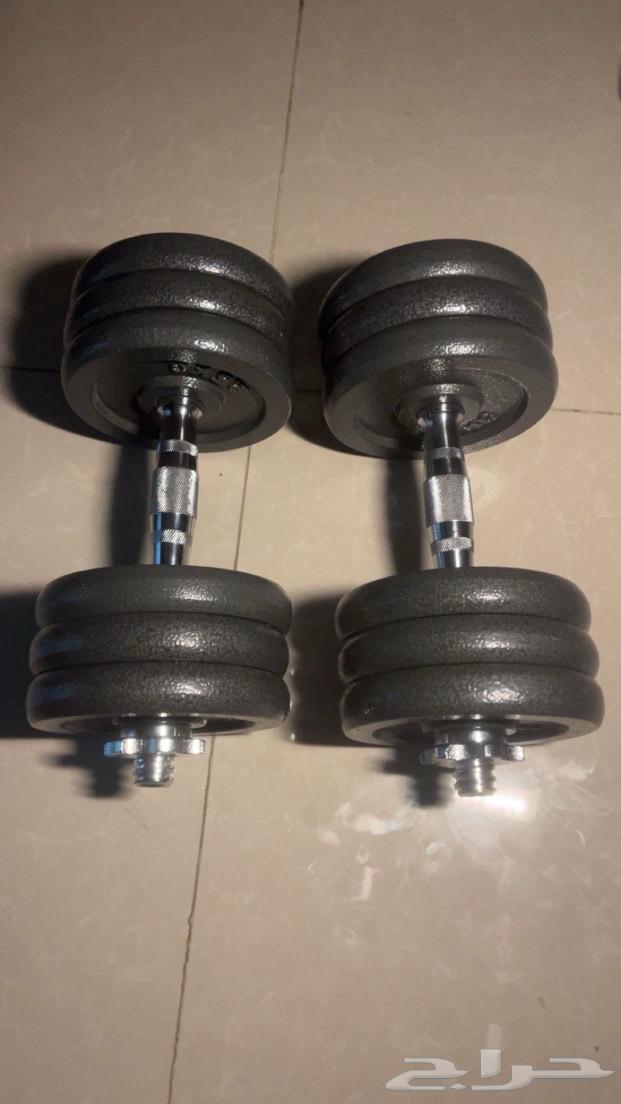 Wooden Club Chair and Dumbbells63667551186562110