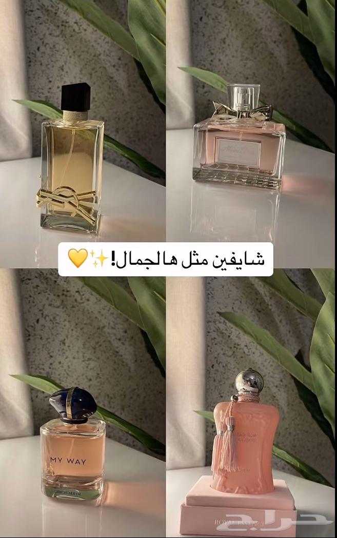 Master Quality Perfumes, Exact Copies63667555119745111