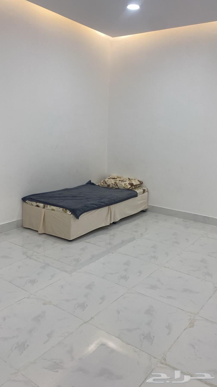 Apartments and rooms for rent and commercial shops63611886342145111