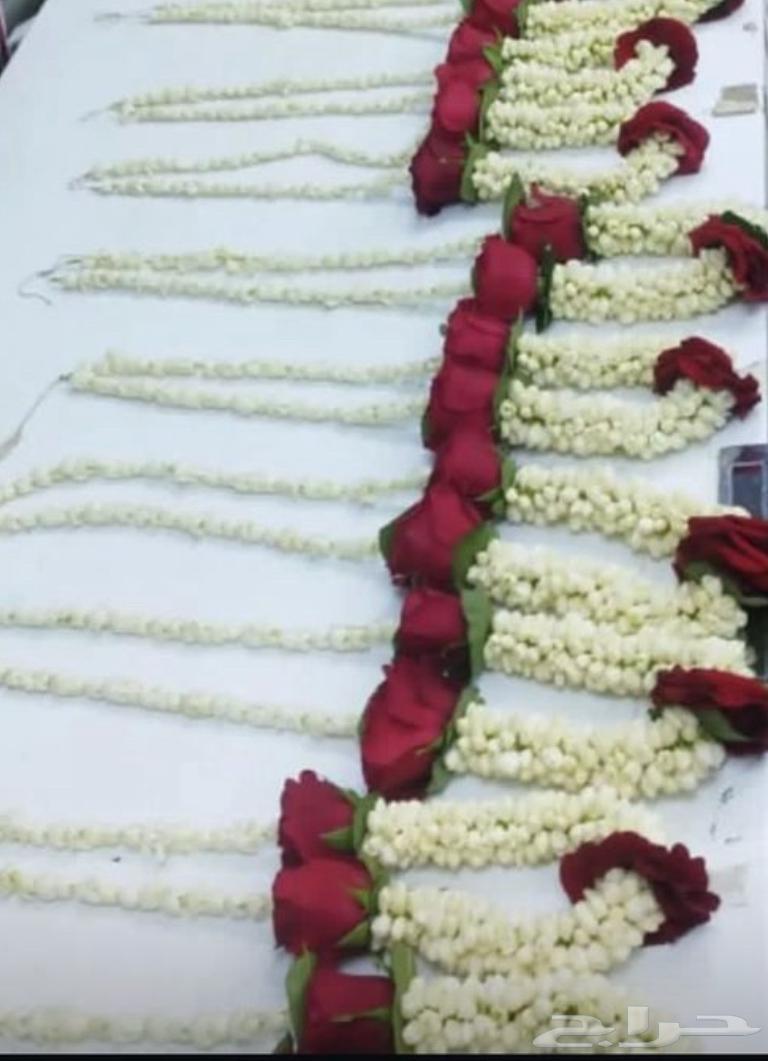 فل وورد63667680321411111