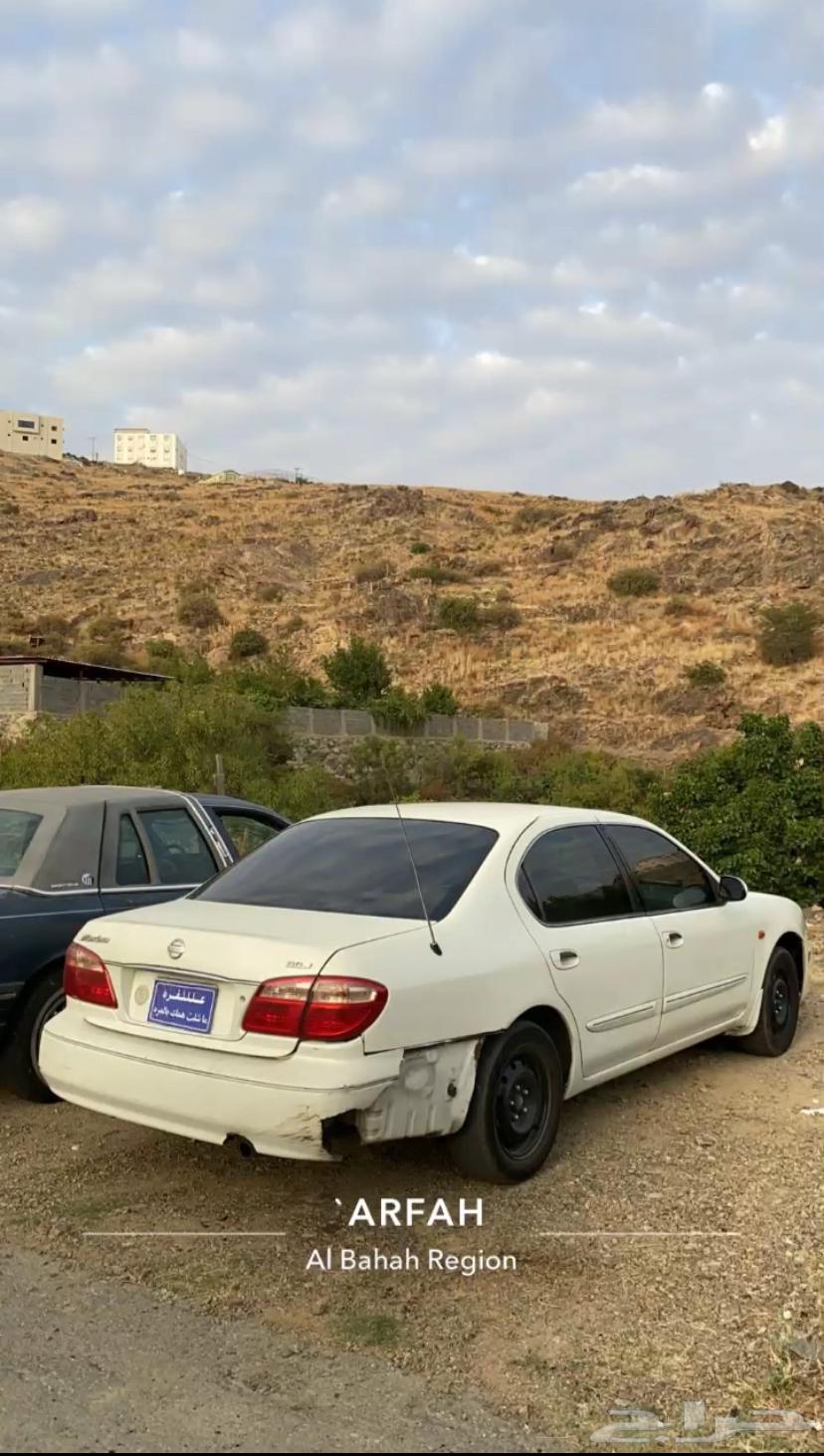 Maxima 200763715439610755113