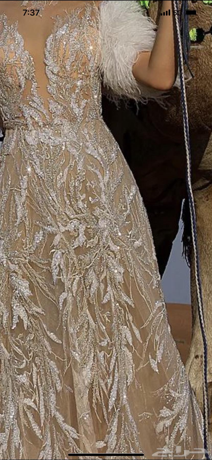 Luxurious evening dress, beige color, size 16, new63667555264257113
