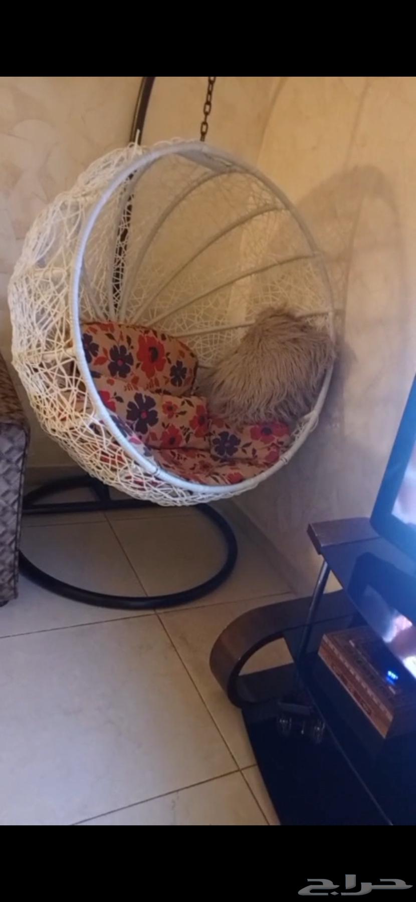 كنب وطاولات وكرسي وفيه قطع زياده63667550517378114
