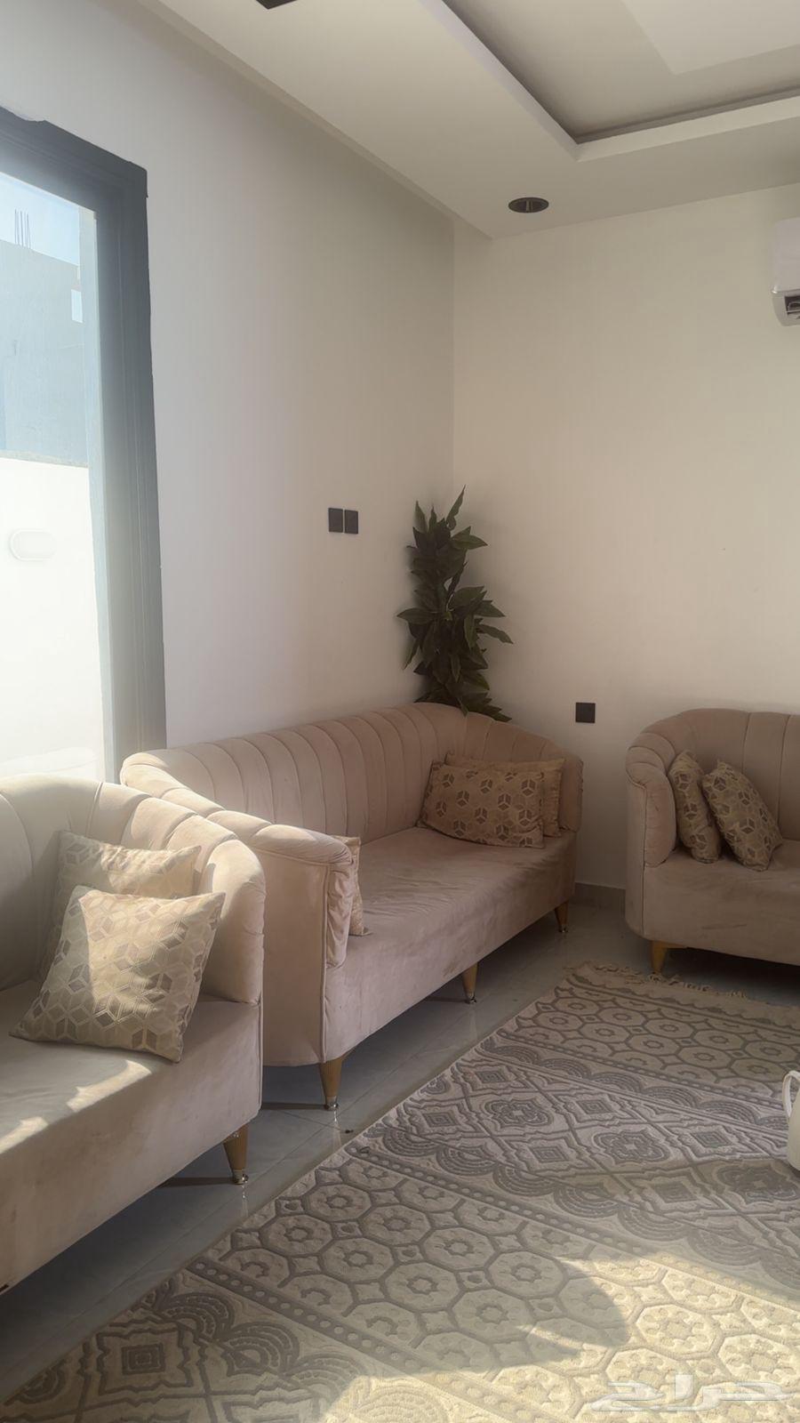 Sofa63667694415745111