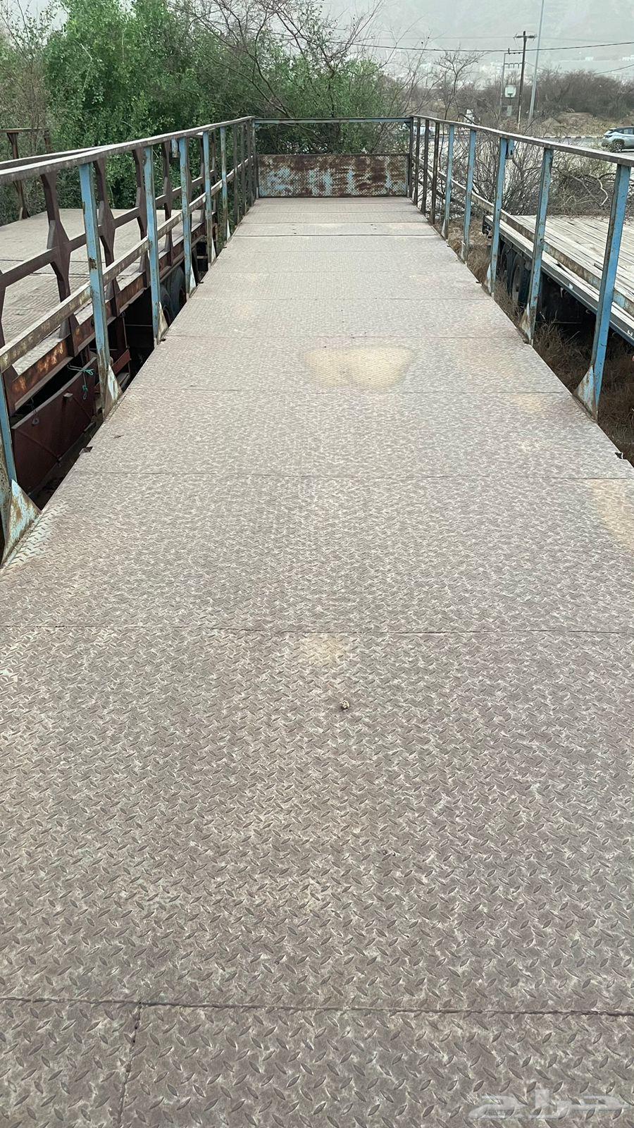 Tider Barseem 17.5 Length, Al-Muhayil, Asir Site63667798725891113