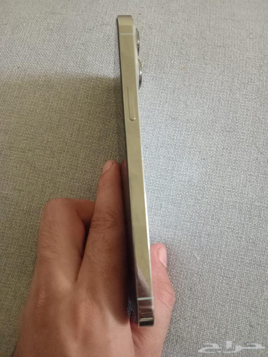 iPhone 13 Pro Max63667697609217112