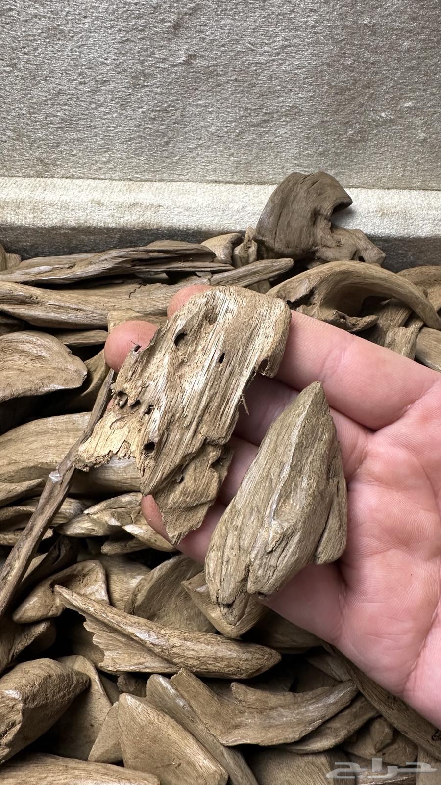 Oud Maroki Aseghoun Super63672453175809111