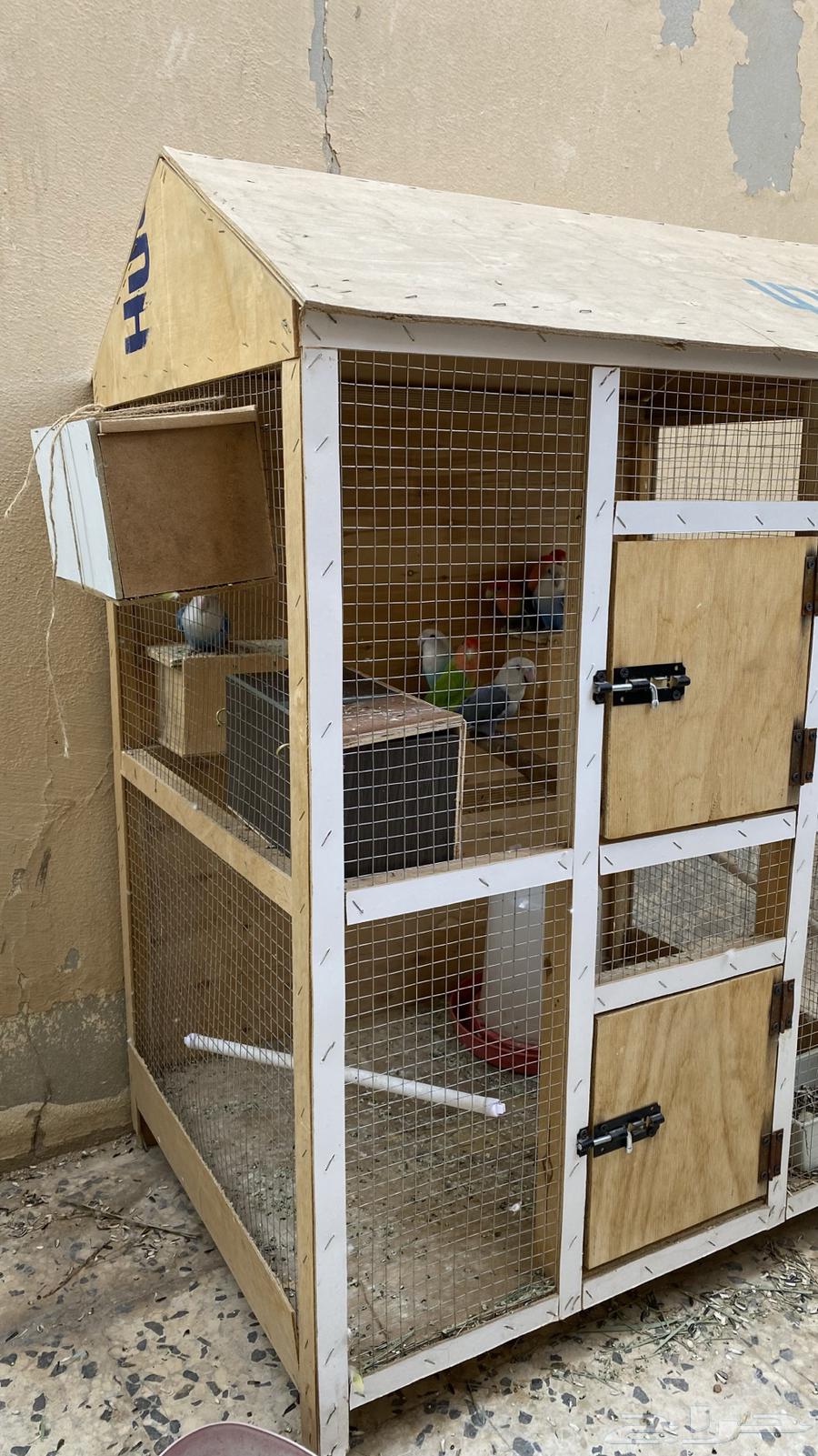 Production Day - With Large Cage63672086857730114
