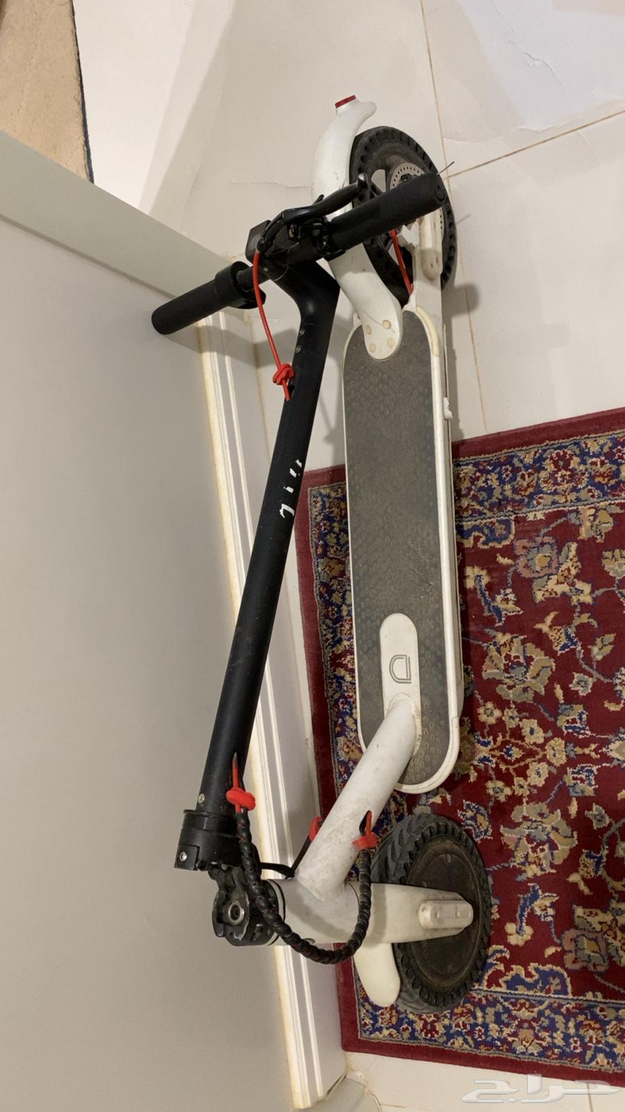 Scooter63673738601858113