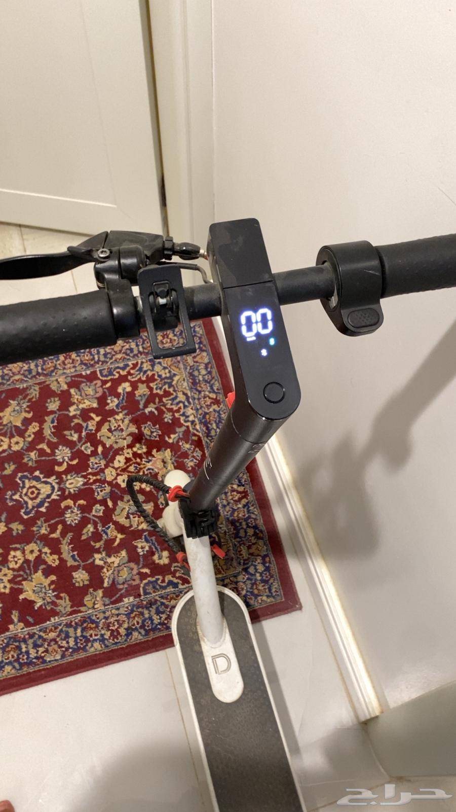 Scooter63673738601858111