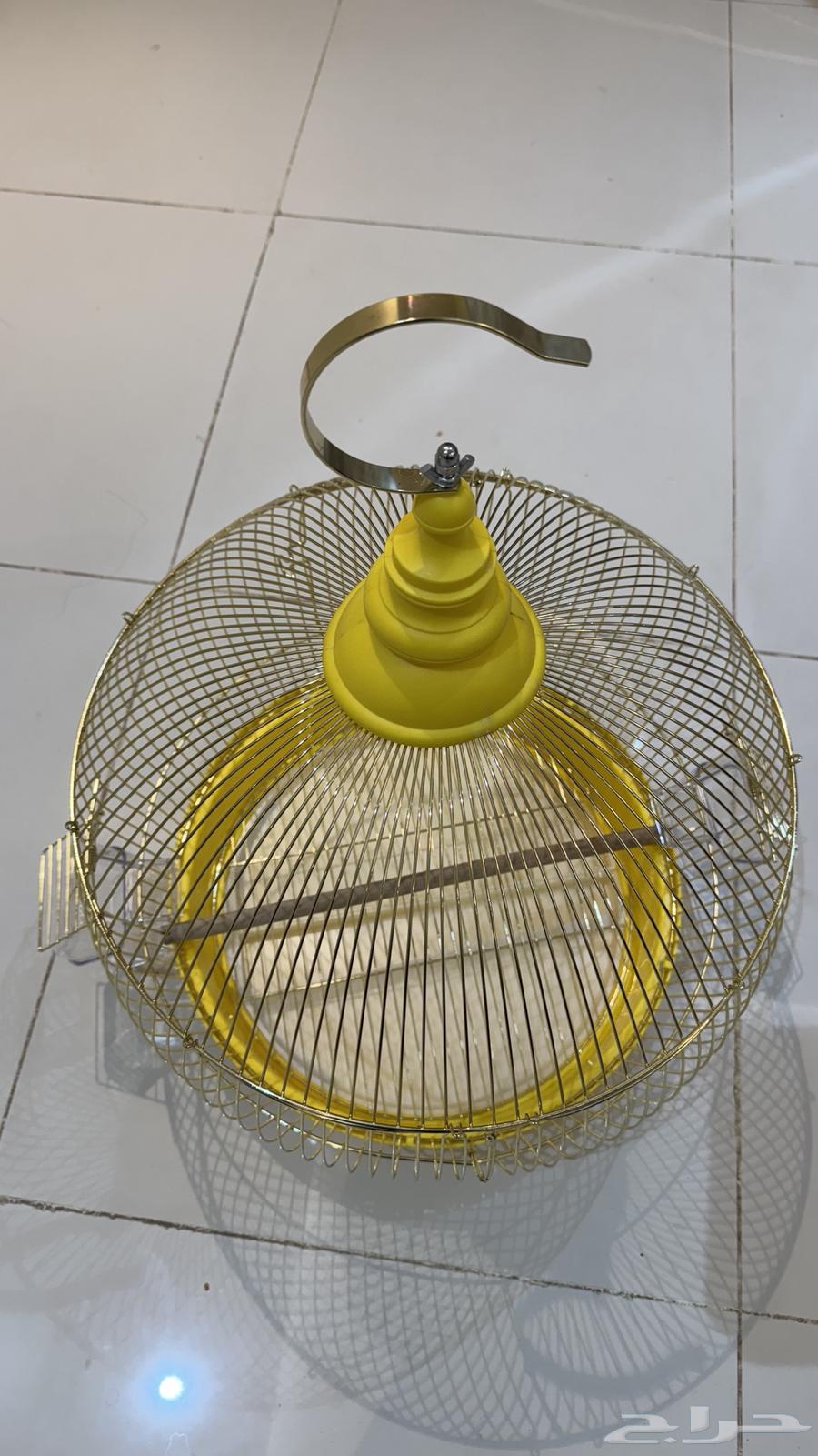 Bird cage63669824501889112