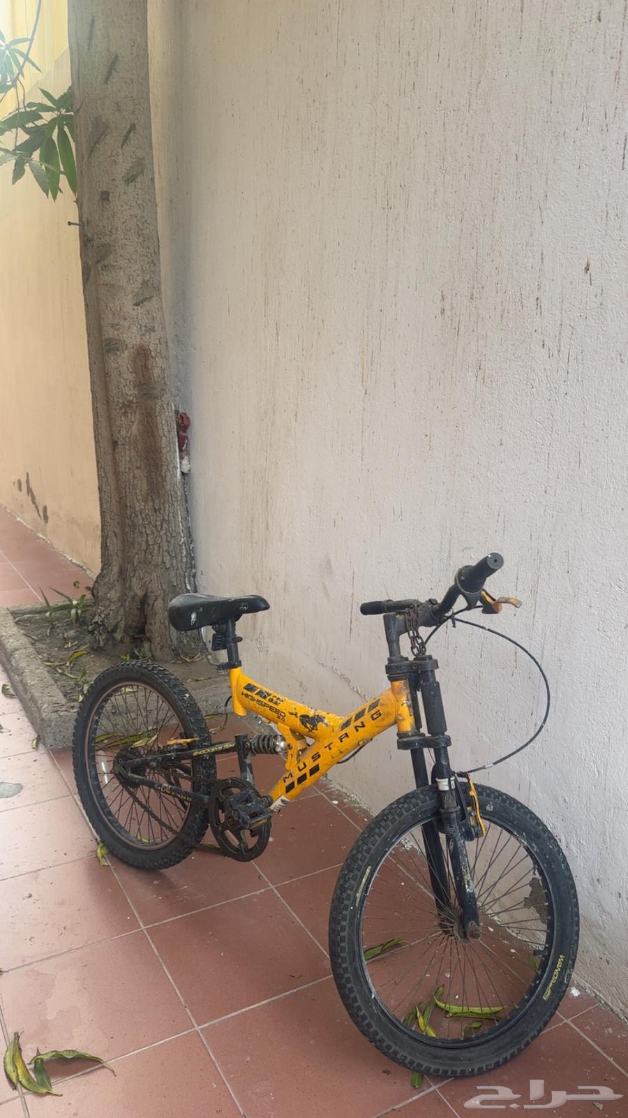 20-inch bicycle63672649650945110