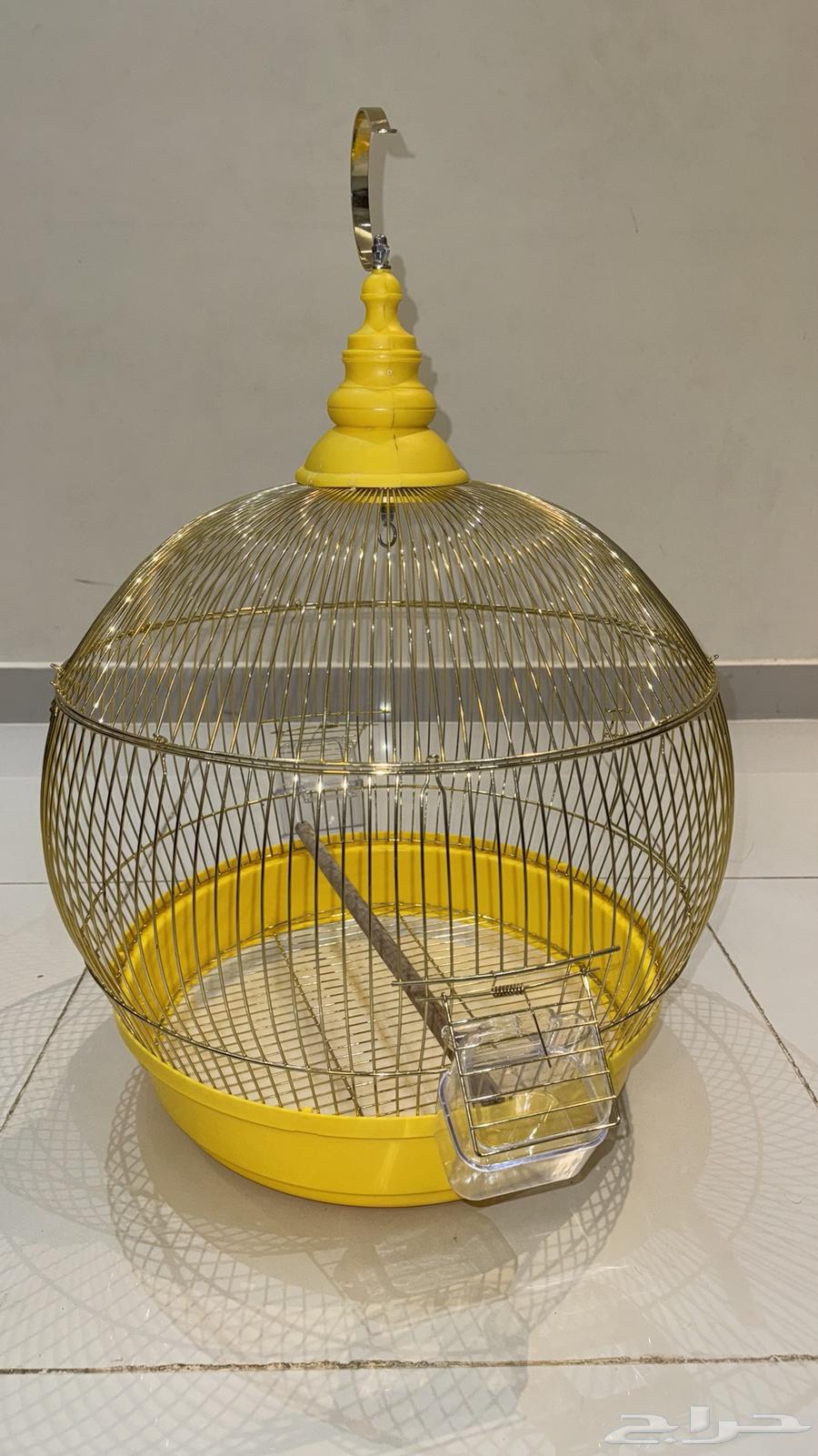 Bird cage63669824501889111