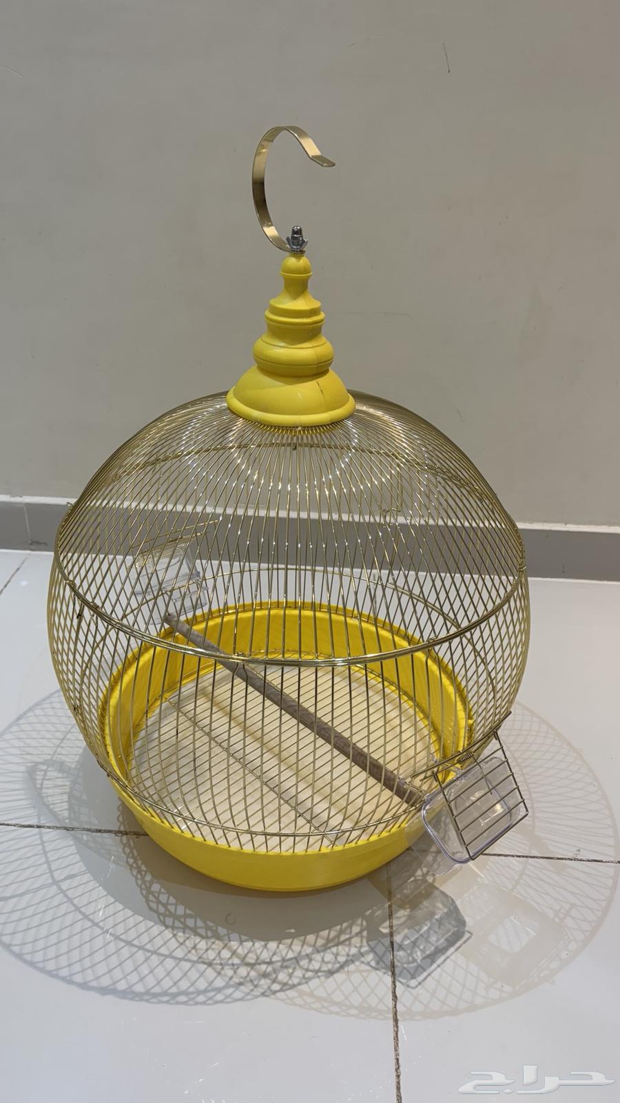 Bird cage63669824501889110