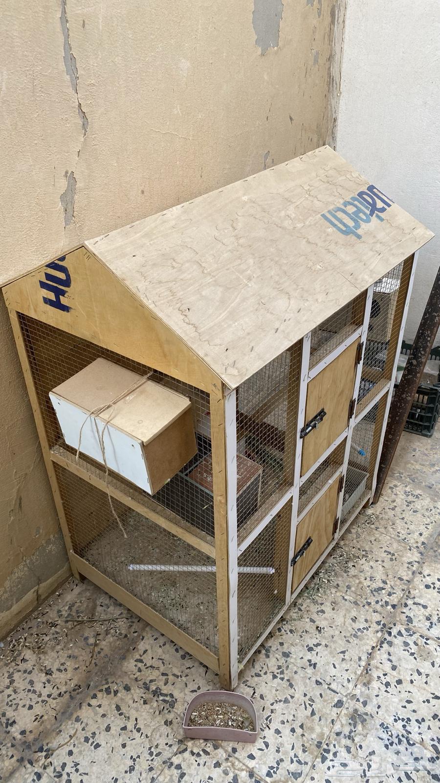 Production Day - With Large Cage63672086857730110
