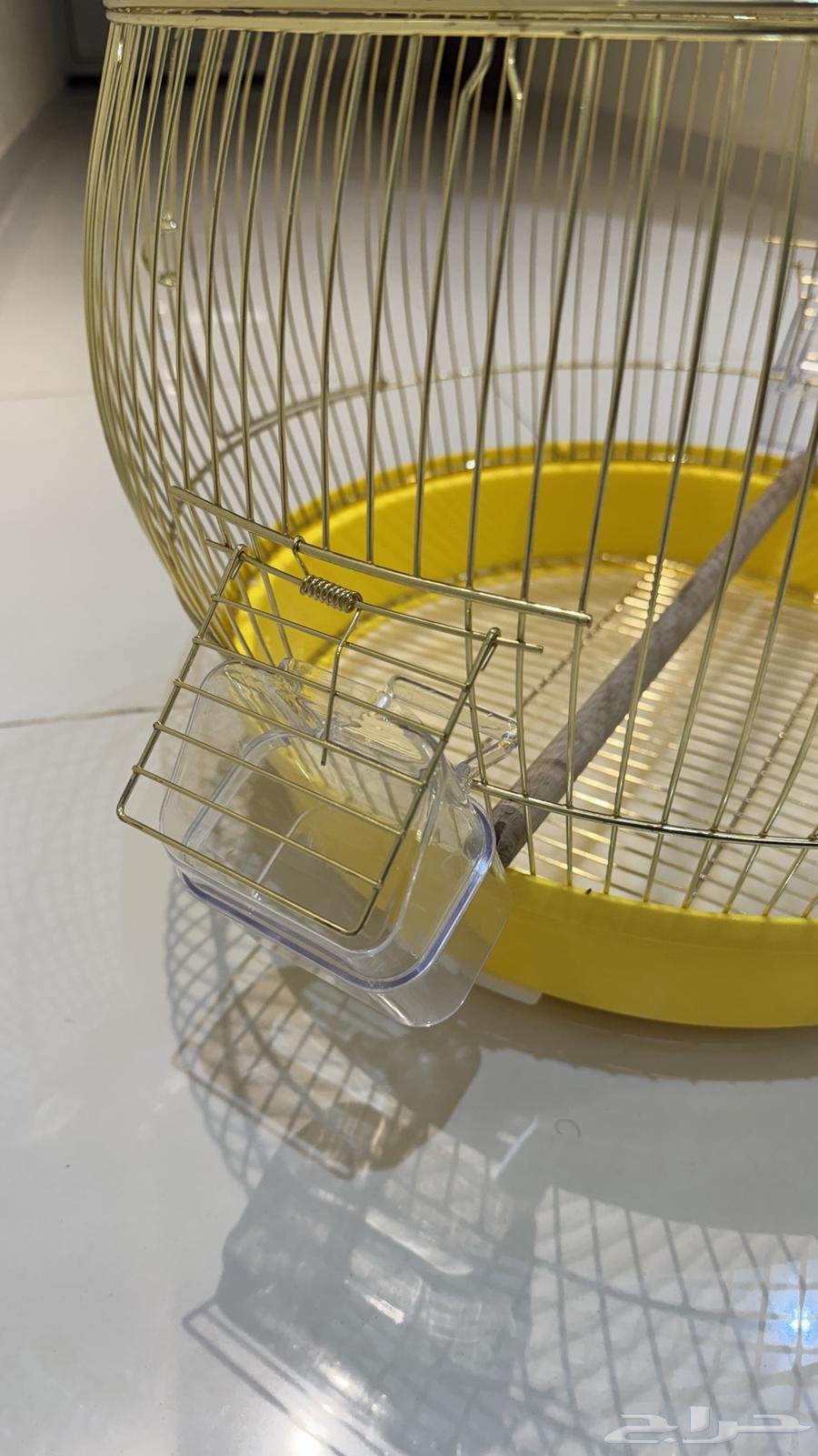 Bird cage63669824501889113