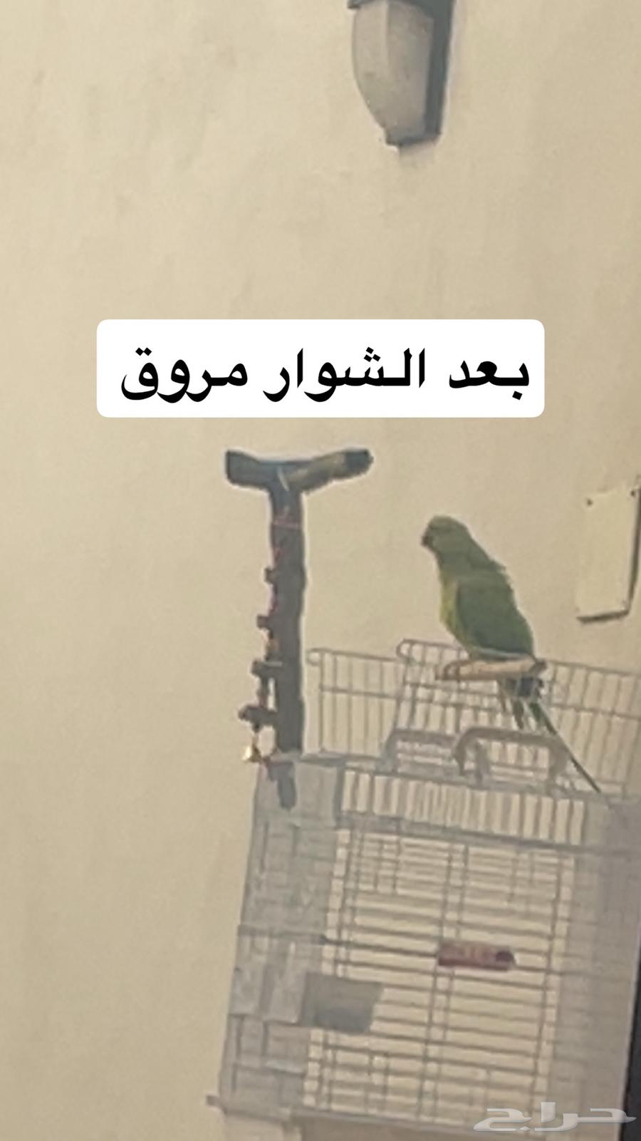 للبيع63668125038467111
